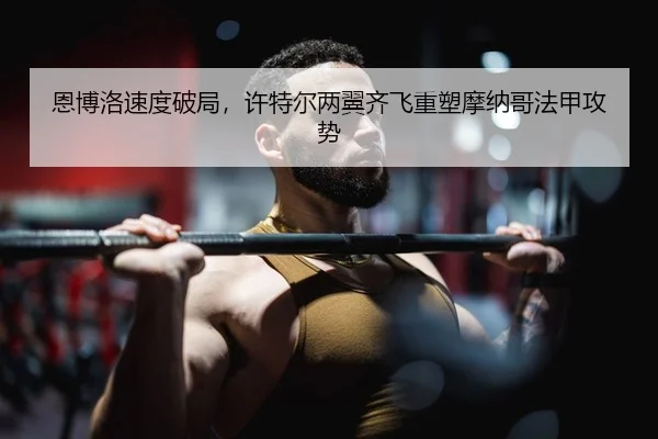 en-bo-luo-su-du-po-ju-xu-te-er-liang-yi-qi-fei-zhong-su-mo-na-ge-fa-jia-gong-shi-2-644.jpg